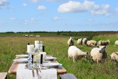 Dineren in het weiland tussen de schapen in Friesland - Promotie Noord